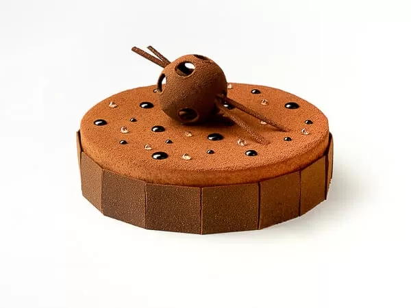 Chocolate cake0