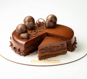 Sacher1